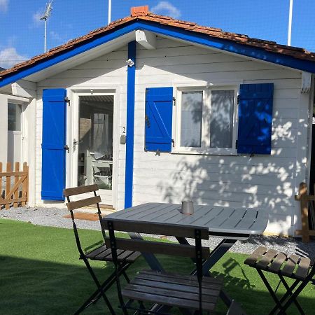 L'Arcachonaise - Studio Cosy Avec Jardin A Bègles Exteriör bild